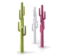 appendiabiti Cactus